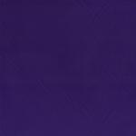 Nylon Purple (Temporarily Unavailable)